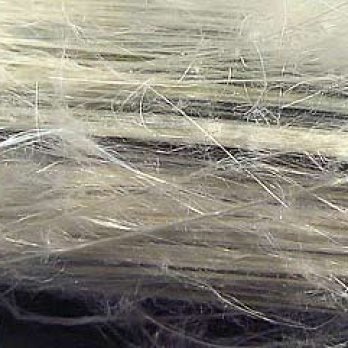 Fibres d'amiante blanc