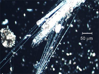 Fibres de chrysotile (amiante blanc) au microscope électronique